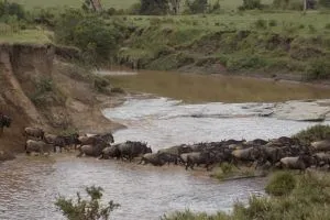 Mara/Loita, Kenya