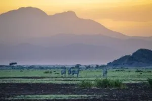 Enduimet, Tanzania