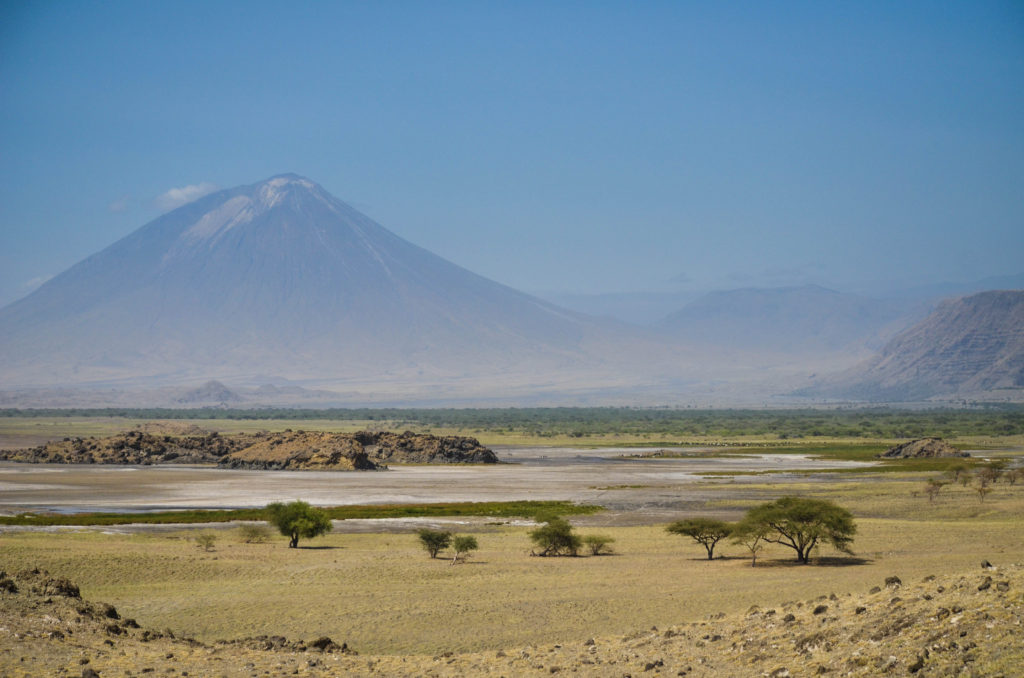 $panel['image']['alt']